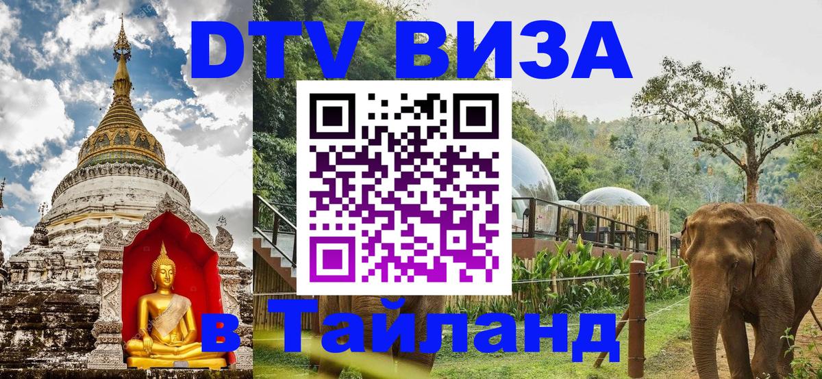 Сколько стоит DTV виза — актуальные цены, оформление даже без документов - Новокузнецк  09.01.2026 